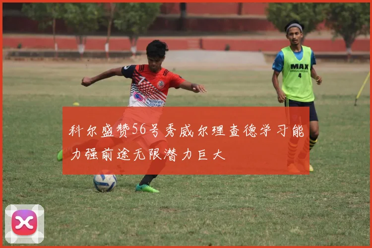 科尔盛赞56号秀威尔理查德学习能力强前途无限潜力巨大