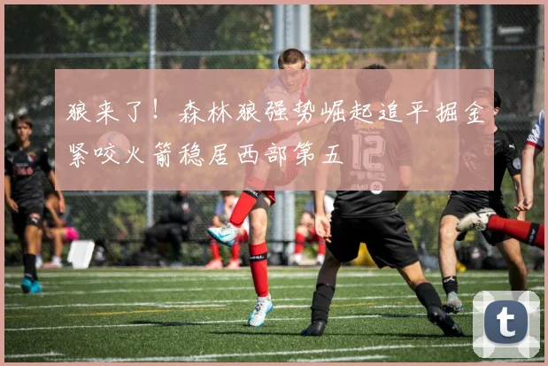 狼来了！森林狼强势崛起追平掘金紧咬火箭稳居西部第五